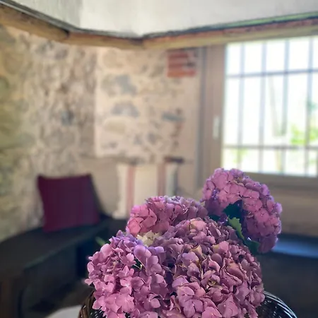 Tatil Evi Casa Colli Impervi Combai